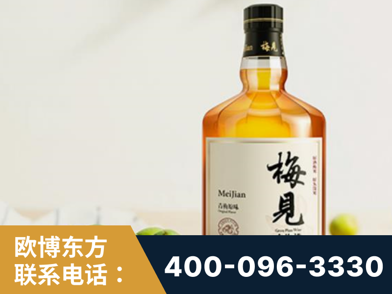侯马-梅见青梅酒