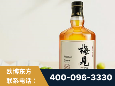 侯马-梅见青梅酒